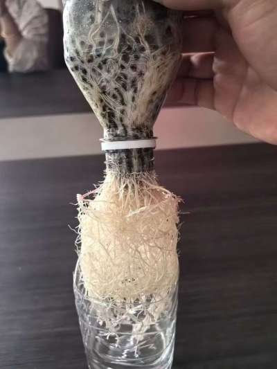 年销售量三十万吨的有机肥生产厂家，全国网点发货，资质齐全，正品保障！有机肥、生物菌肥、微生物肥料等