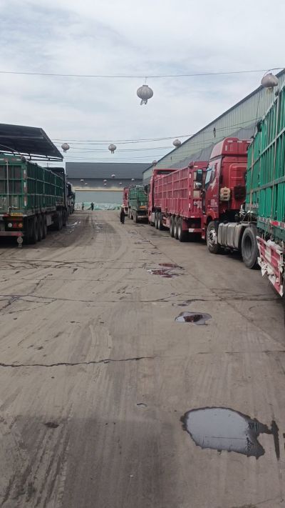 发酵 鸡粪，发酵羊粪 有机肥 微生物肥 微生物菌肥 微生物菌剂 每天出货量1500多吨，都是老客户介绍新微生物菌肥，山西马上出发，近期用肥的老板提前联系，马上到国庆节＋中秋节 一大部分物流都会放假，到