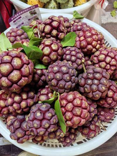 认水果，有认识的吗？