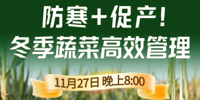 《细说农技》专家张宝林教冬季蔬菜防寒 + 促产高效管理，27 日晚 8 点！