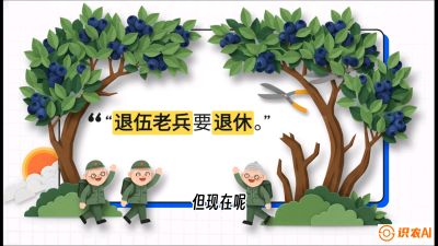 第7节：修剪决定产量（下）&mdash;&mdash;结果树的更新与疏果，课程：《蓝莓&ldquo;高产&rdquo;实战课：从选苗到丰收的10个关键点》