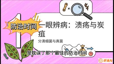 第三节：细菌与真菌&mdash;&mdash;溃疡病与炭疽病，课程：《柑橘十大病虫害：从入门到精通》