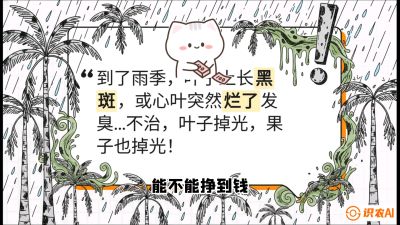 第05节：常见真菌病害&mdash;&mdash;&ldquo;炭疽与烂心，早防值千金&rdquo;《槟榔种植：从不懂到精通的10堂必修课》