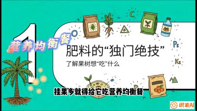 第07节：科学施肥&mdash;&mdash;&ldquo;氮磷钾配好，树壮果不倒