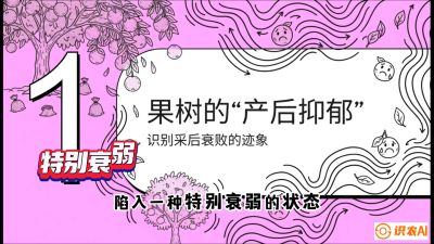 第2节：【冬肥策略】采后&ldquo;月子肥&rdquo;：大小年的精准干预术，课程：《柑橘底肥&ldquo;翻身账&rdquo;：从改土到高产的实战全书》