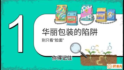 第4节：【黄金配方】底肥里的&ldquo;铁三角&rdquo;与&ldquo;微量雷区&rdquo;课程：《柑橘底肥&ldquo;翻身账&rdquo;：从改土到高产的实战全书》