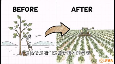 第02节：把树变成草&mdash;&mdash;&ldquo;草本化密植&rdquo;技术，课程：《桑海淘金：桑树高产与蚕桑安全进阶实战课》