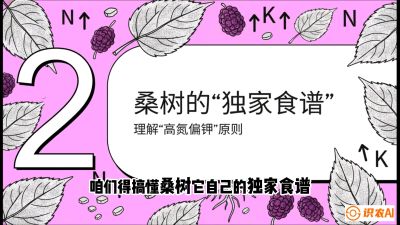 第04节：地下核动力&mdash;&mdash;桑树专用水肥一体化配方，课程：《桑海淘金：桑树高产与蚕桑安全进阶实战课》