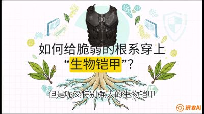 第三节：国产榴莲突围战：根系堡垒，菌根微生态构建与黄金定植窗口，课程：《国产榴莲突围战：从泰国经验到中国实操的8堂必修课（高阶实战版）》