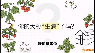 第2节（解毒篇）： 大棚里的&ldquo;红白绿&rdquo;警报&mdash;&mdash;读懂土壤盐渍化的求救信号，课程：《揭秘土壤的秘密：让土地帮你赚钱》#识农AI