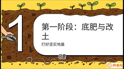 第6节（统筹篇）： 省钱又增产的&ldquo;黄金配比&rdquo;&mdash;&mdash;不同作物全年的养土实操方案，课程：《揭秘土壤的秘密：让土地帮你赚钱》#识农AI