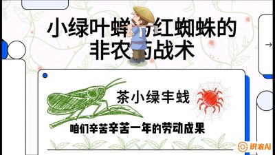 第03节（虫害篇）：看不见的吸血鬼：小绿叶蝉与红蜘蛛的&ldquo;非农药&rdquo;团灭战术（抗性治理），课程：《茶金时代：从&ldquo;看天吃饭&rdquo;到&ldquo;精准控局&rdquo;的茶叶高产提质实战课》