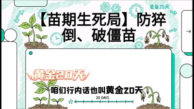 第2节：【苗期生死局】防猝倒、破僵苗，决定后期产量的&ldquo;黄金20天&rdquo;，课程：《辣椒种植实战特训营，从工业辣椒到精品小米辣，教你如何把&ldquo;草&rdquo;种成&ldquo;金&rdquo;》