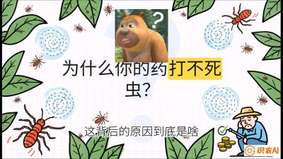 第4节：【虫害歼灭战】打不死的蓟马、隐形的茶黄螨：抗性时代的&ldquo;混配绝杀&rdquo;，课程：《辣椒种植实战特训营，从工业辣椒到精品小米辣，教你如何把&ldquo;草&rdquo;种成&ldquo;金&rdquo;》