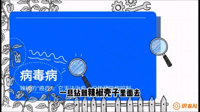 第5节：【病毒病阻击】辣椒的&ldquo;癌症&rdquo;怎么治？从&ldquo;绝收恐慌&rdquo;到&ldquo;带毒生产&rdquo;的逆转术，课程：《辣椒种植实战特训营，从工业辣椒到精品小米辣，教你如何把&ldquo;草&rdquo;种成&ldquo;金&rdquo;》