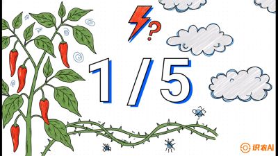 第6节：【花果爆发术】落花落果的五大元凶，与&ldquo;三喷一保&rdquo;坐果黑科技，课程：《辣椒种植实战特训营，从工业辣椒到精品小米辣，教你如何把&ldquo;草&rdquo;种成&ldquo;金&rdquo;》