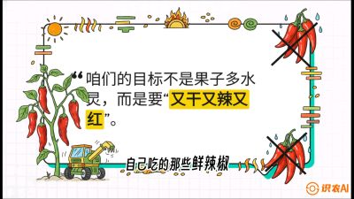 第7节：【工业辣椒专场】追求极致辣度！干物质提升与机械化采收的&ldquo;催红秘籍&rdquo;，课程：《辣椒种植实战特训营，从工业辣椒到精品小米辣，教你如何把&ldquo;草&rdquo;种成&ldquo;金&rdquo;》