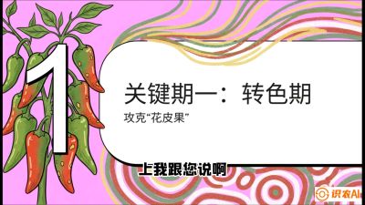 第8节：【小米辣线椒专场】颜值即正义！防花皮、防炭疽，打造收购商抢着要的&ldquo;精品果&rdquo;，课程：《辣椒种植实战特训营，从工业辣椒到精品小米辣，教你如何把&ldquo;草&rdquo;种成&ldquo;金&rdquo;》