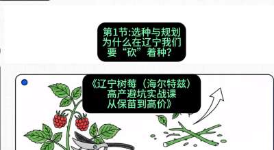 第一节： 选种与规划&mdash;&mdash;为什么在辽宁我们要&ldquo;砍&rdquo;着种？，课程：《辽宁树莓（海尔特兹）高产避坑实战课：从保苗到高价》