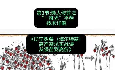 第三节： 懒人修剪法&mdash;&mdash;&ldquo;一推光&rdquo;平茬技术详解，课程：《辽宁树莓（海尔特兹）高产避坑实战课：从保苗到高价》