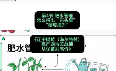 第四节： 肥水管理&mdash;&mdash;怎么喂出&ldquo;石头果&rdquo;（硬度提升），课程：《辽宁树莓（海尔特兹）高产避坑实战课：从保苗到高价》