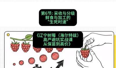 第六节： 采收与分级&mdash;&mdash;鲜食与加工的&ldquo;生死时速&rdquo;，课程：《辽宁树莓（海尔特兹）高产避坑实战课：从保苗到高价》