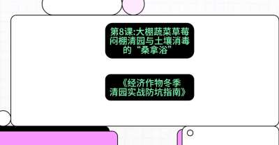 第8节：【大棚蔬菜草莓】闷棚清园与土壤消毒的&ldquo;桑拿浴&rdquo;，课程：《经济作物冬季清园&middot;实战防坑指南》#识农AI