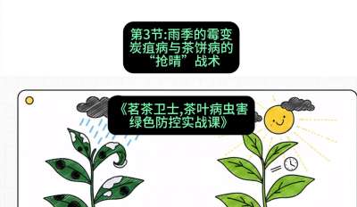 第03节：雨季的霉变&mdash;&mdash;炭疽病与茶饼病的&ldquo;抢晴&rdquo;战术，课程：《茗茶卫士&mdash;&mdash;茶叶病虫害绿色防控实战课》#识农AI