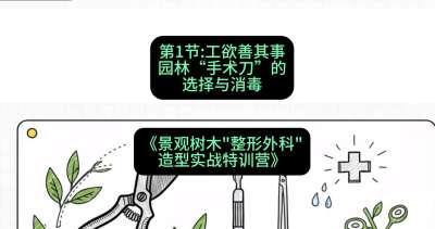 第01节：工欲善其事&mdash;&mdash;园林&ldquo;手术刀&rdquo;的选择与消毒，课程：《景观树木&ldquo;整形外科&rdquo;造型实战特训营》#识农AI