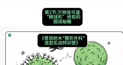 第02节：万物皆可盘&mdash;&mdash;&ldquo;精球形&rdquo;修剪的圆润秘籍，课程：《景观树木&ldquo;整形外科&rdquo;造型实战特训营》#识农AI