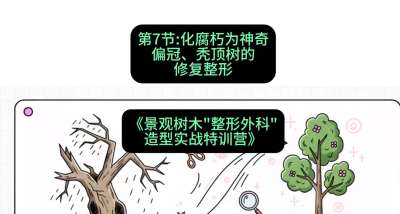 第07节：化腐朽为神奇&mdash;&mdash;偏冠、秃顶树的修复整形，课程：《景观树木&ldquo;整形外科&rdquo;造型实战特训营》#识农AI