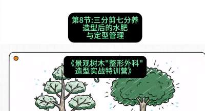 第08节：三分剪七分养&mdash;&mdash;造型后的水肥与定型管理，课程：《景观树木&ldquo;整形外科&rdquo;造型实战特训营》#识农AI